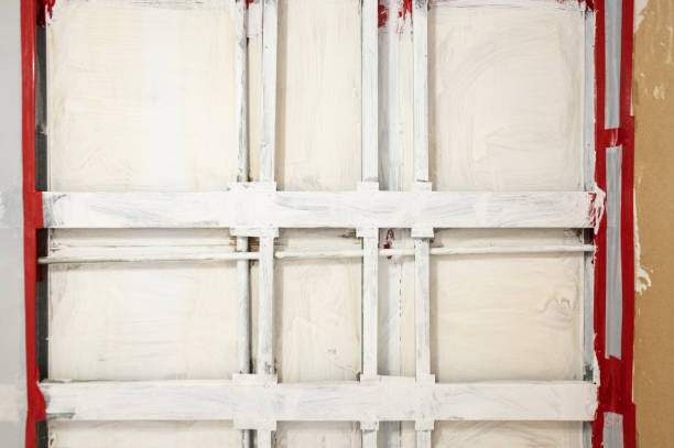 Best Water Damage & Mold Remediation  in Madison, NJ