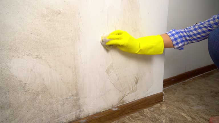 Best Air Quality Testing for Mold Spores  in Madison, NJ